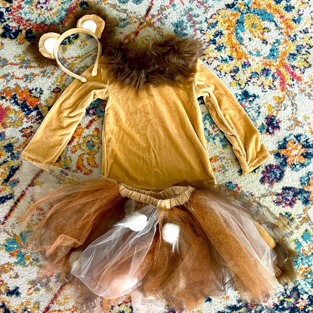 Pottery Barn lion costume for toddler. Size 3T.